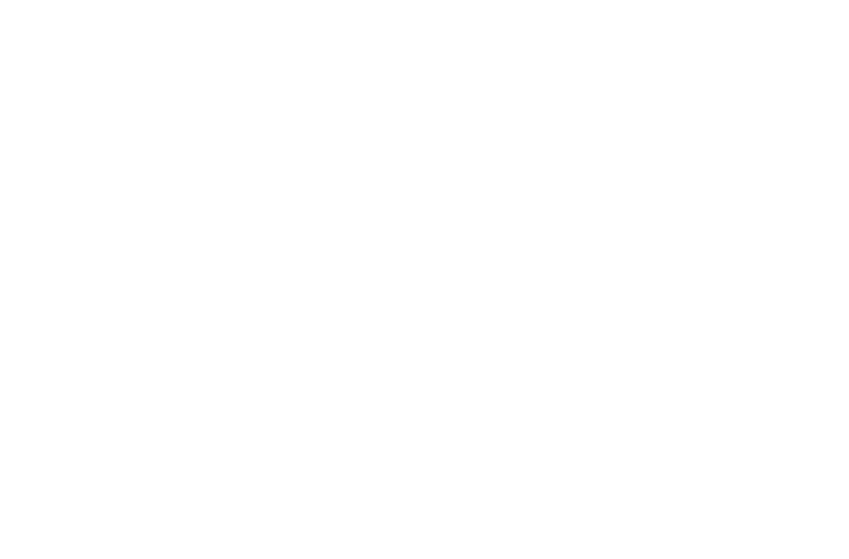 Preliminus